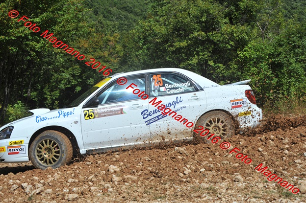 DSC_6304.JPG